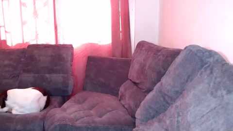 valery_rabbit_hot @ chaturbate on 20231122