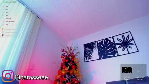 rihanna_rose @ chaturbate on 20231201