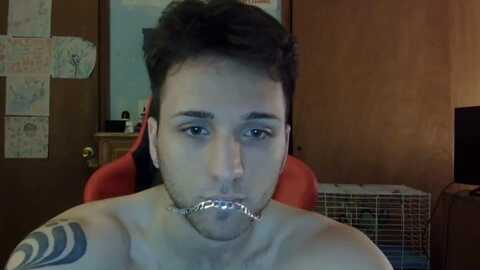 lucasbacon13 @ chaturbate on 20231203