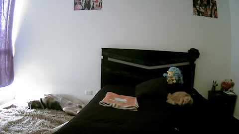 vexa_nyx @ chaturbate on 20231223
