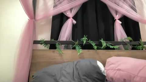 disko_lemonad3 @ chaturbate on 20231224