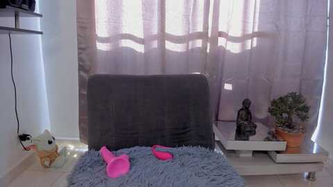 naiara_sp @ chaturbate on 20240120