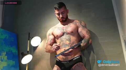 dimitri_sullivan @ chaturbate on 20240127