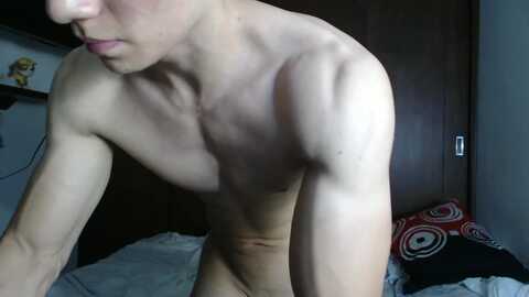 ares_aestheticgod @ chaturbate on 20240129